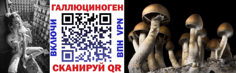 Галлюциногенные грибы прущие грибы  Вытегра 